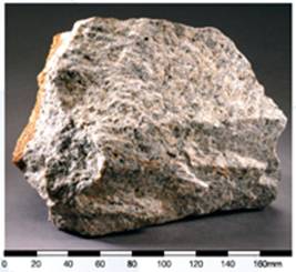 Porphyritic fine-grained granite 
